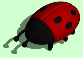 ladybird