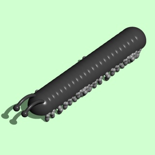 millipede