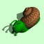 snail